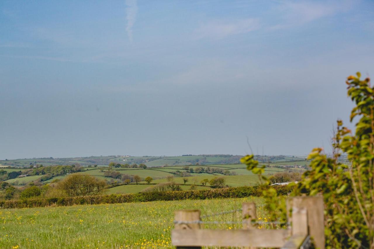 Maes Y Mel- A Couples, Pet Friendly, Rural Romantic Getaway With Countryside Views Gellywen Kültér fotó