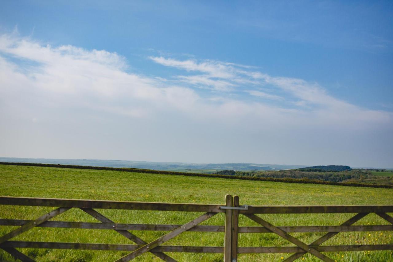 Maes Y Mel- A Couples, Pet Friendly, Rural Romantic Getaway With Countryside Views Gellywen Kültér fotó