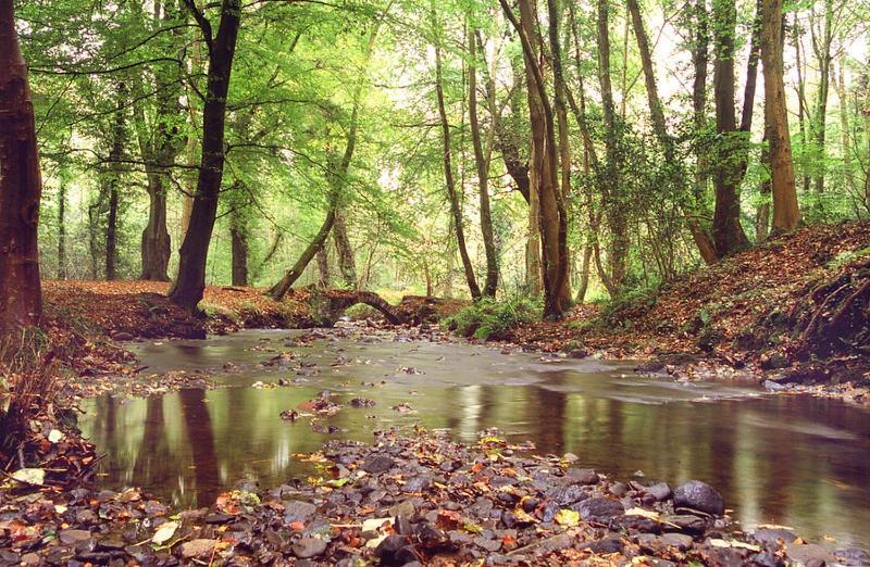 Maes Y Mel- A Couples, Pet Friendly, Rural Romantic Getaway With Countryside Views Gellywen Kültér fotó